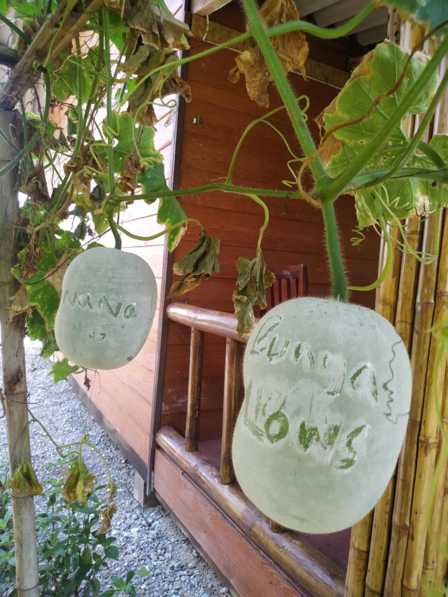 Nana Bungalows Ban Tan Pokoj fotografie