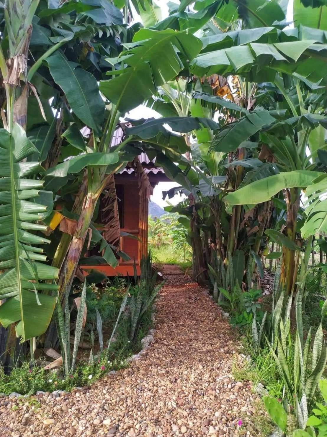 Nana Bungalows Ban Tan Pokoj fotografie